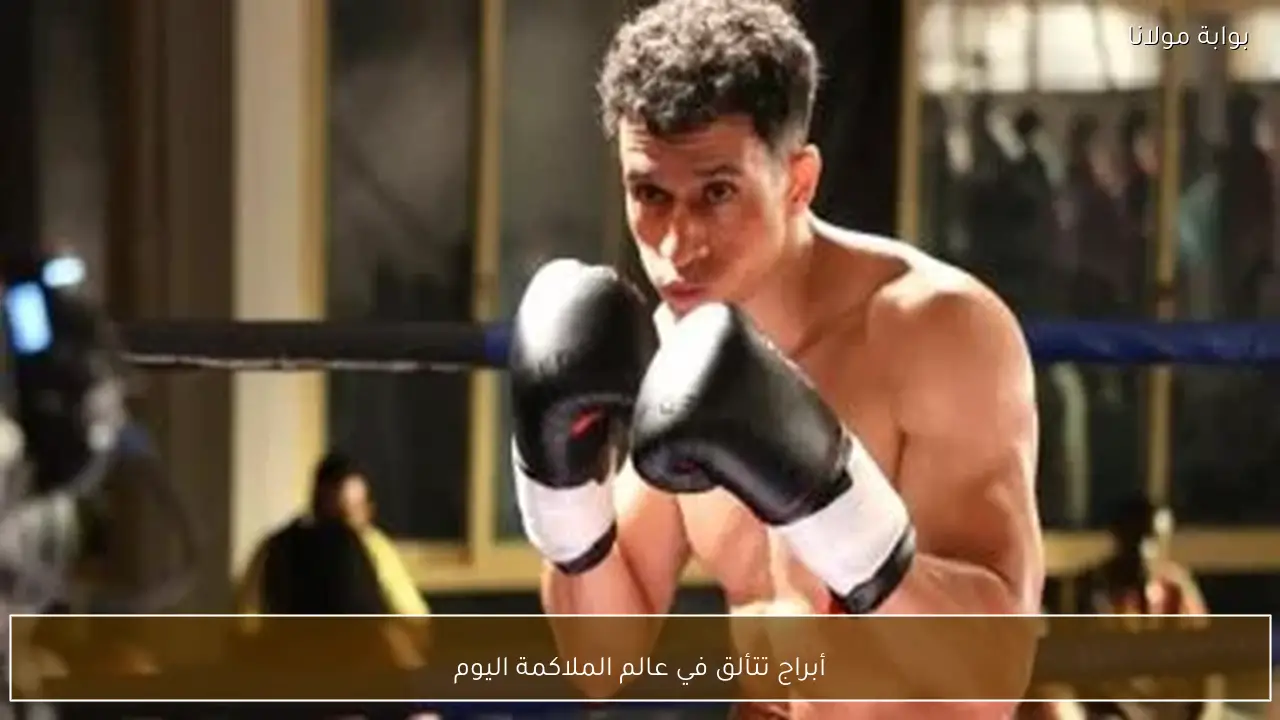 أبراج تتألق في عالم الملاكمة اليوم