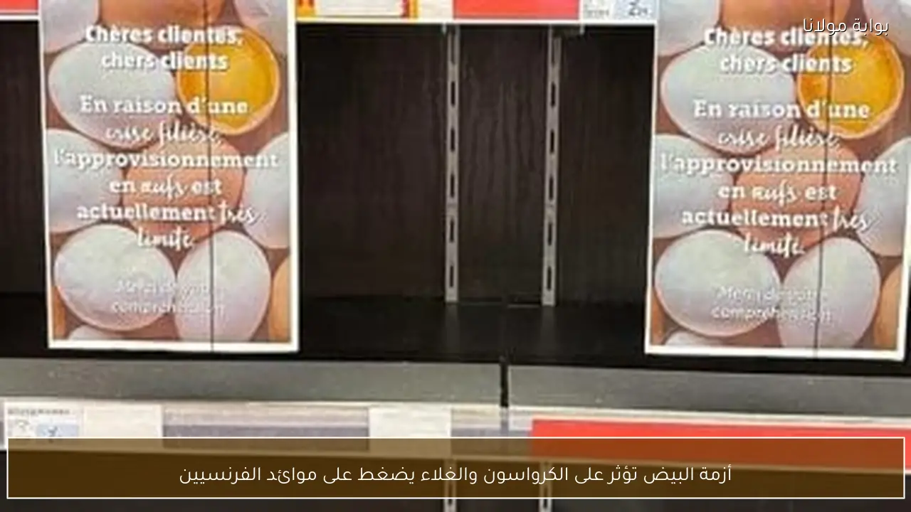 أزمة البيض تؤثر على الكرواسون والغلاء يضغط على موائد الفرنسيين