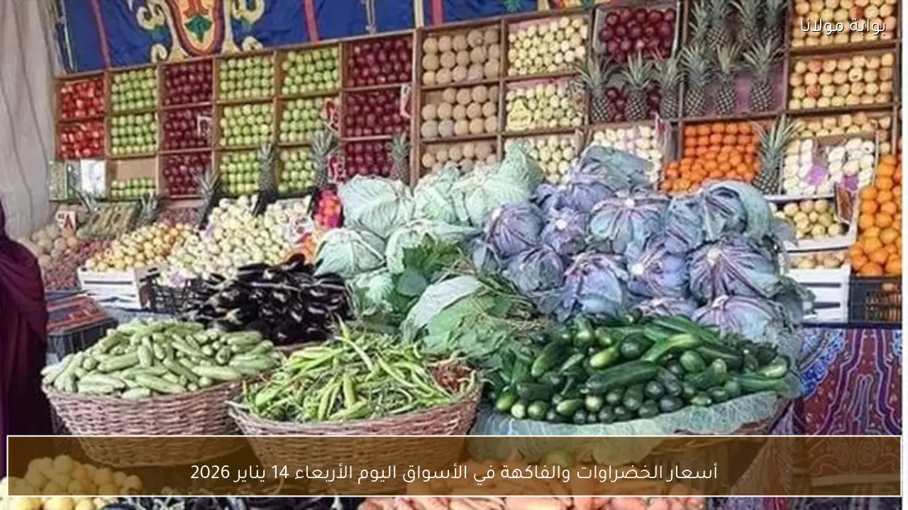 أسعار الخضراوات والفاكهة في الأسواق اليوم الأربعاء 14 يناير 2026