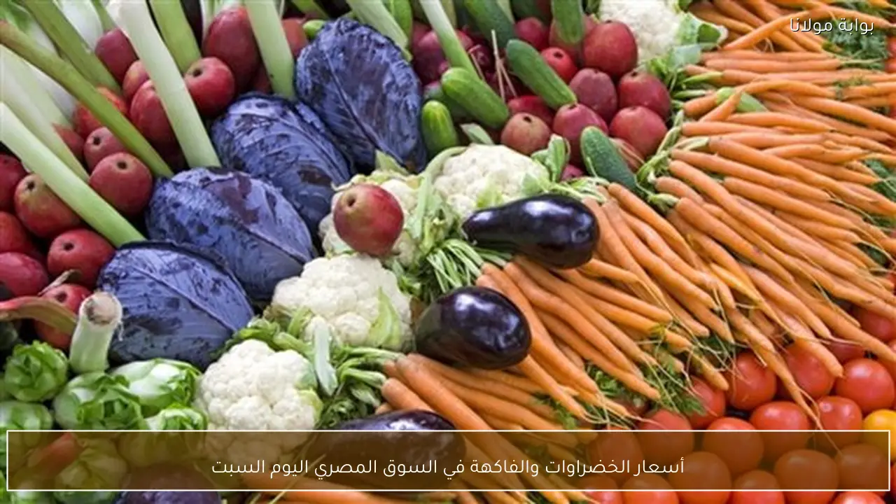 أسعار الخضراوات والفاكهة في السوق المصري اليوم السبت