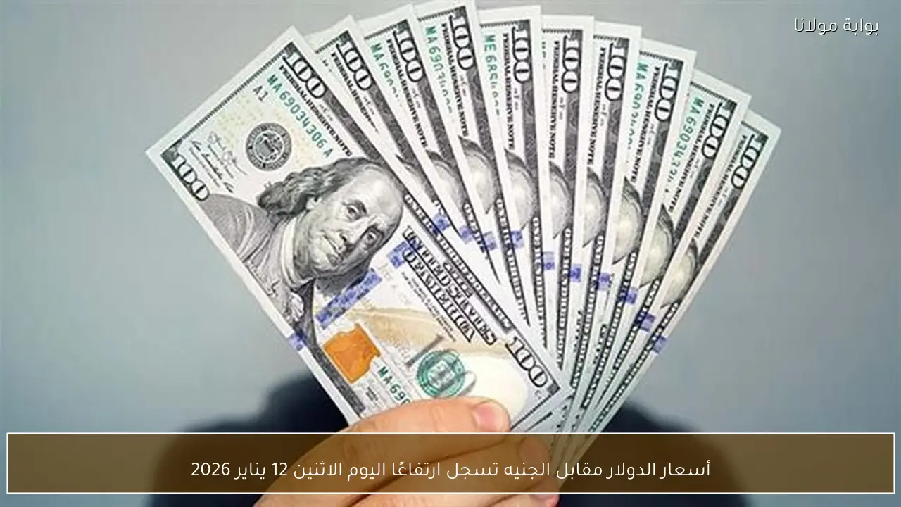 أسعار الدولار مقابل الجنيه تسجل ارتفاعًا اليوم الاثنين 12 يناير 2026