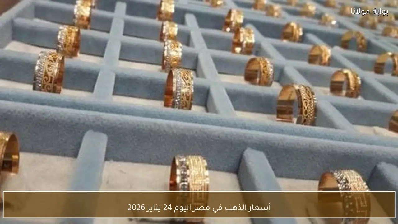 أسعار الذهب في مصر اليوم 24 يناير 2026