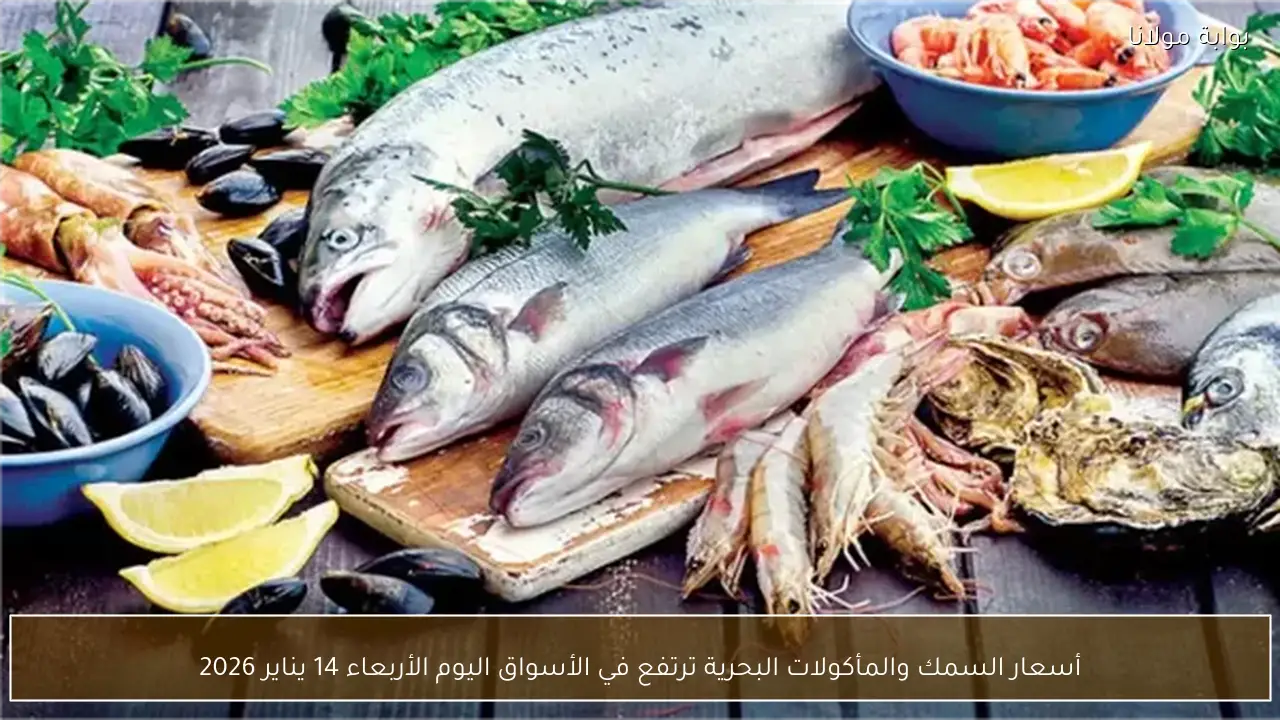 أسعار السمك والمأكولات البحرية ترتفع في الأسواق اليوم الأربعاء 14 يناير 2026