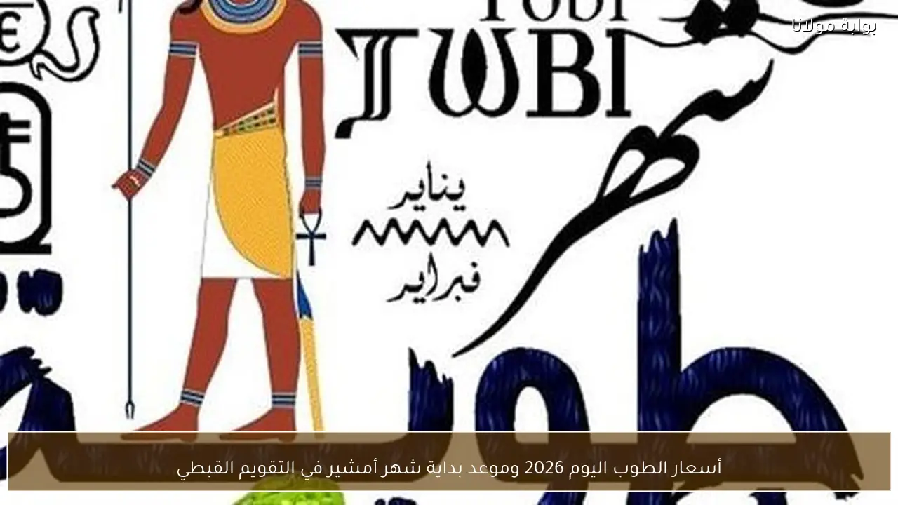 أسعار الطوب اليوم 2026 وموعد بداية شهر أمشير في التقويم القبطي