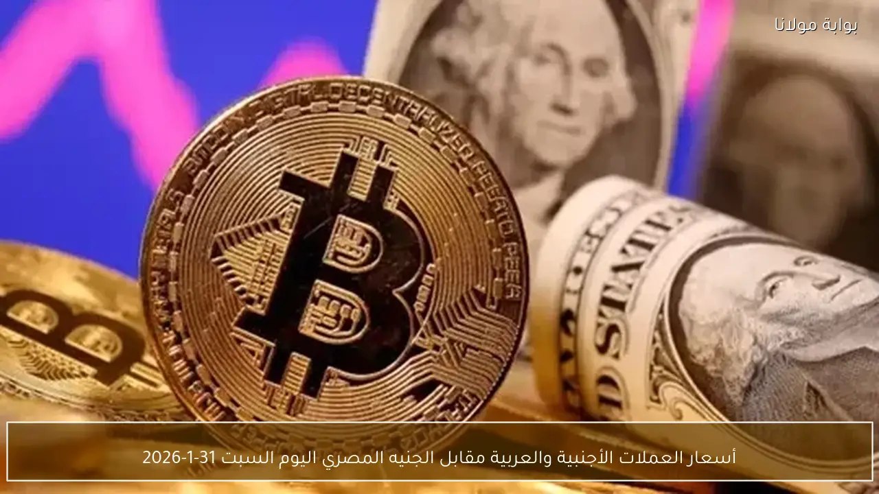أسعار العملات الأجنبية والعربية مقابل الجنيه المصري اليوم السبت 31-1-2026