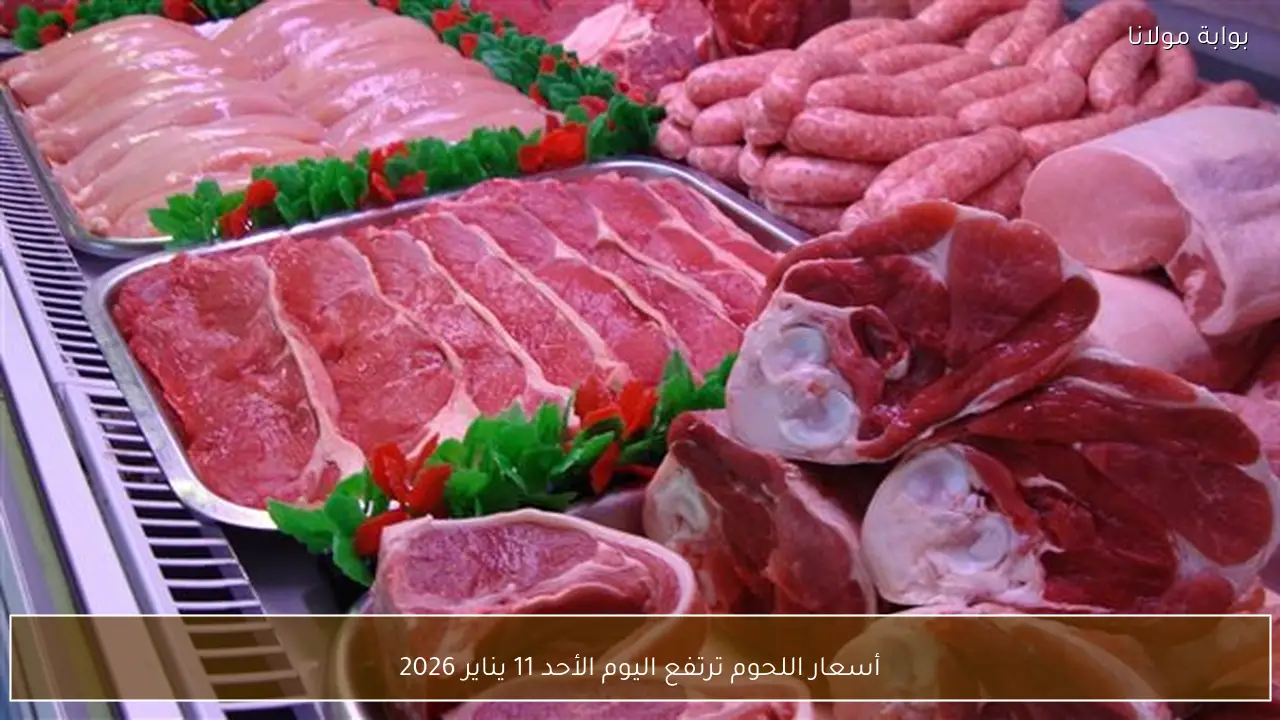 أسعار اللحوم ترتفع اليوم الأحد 11 يناير 2026