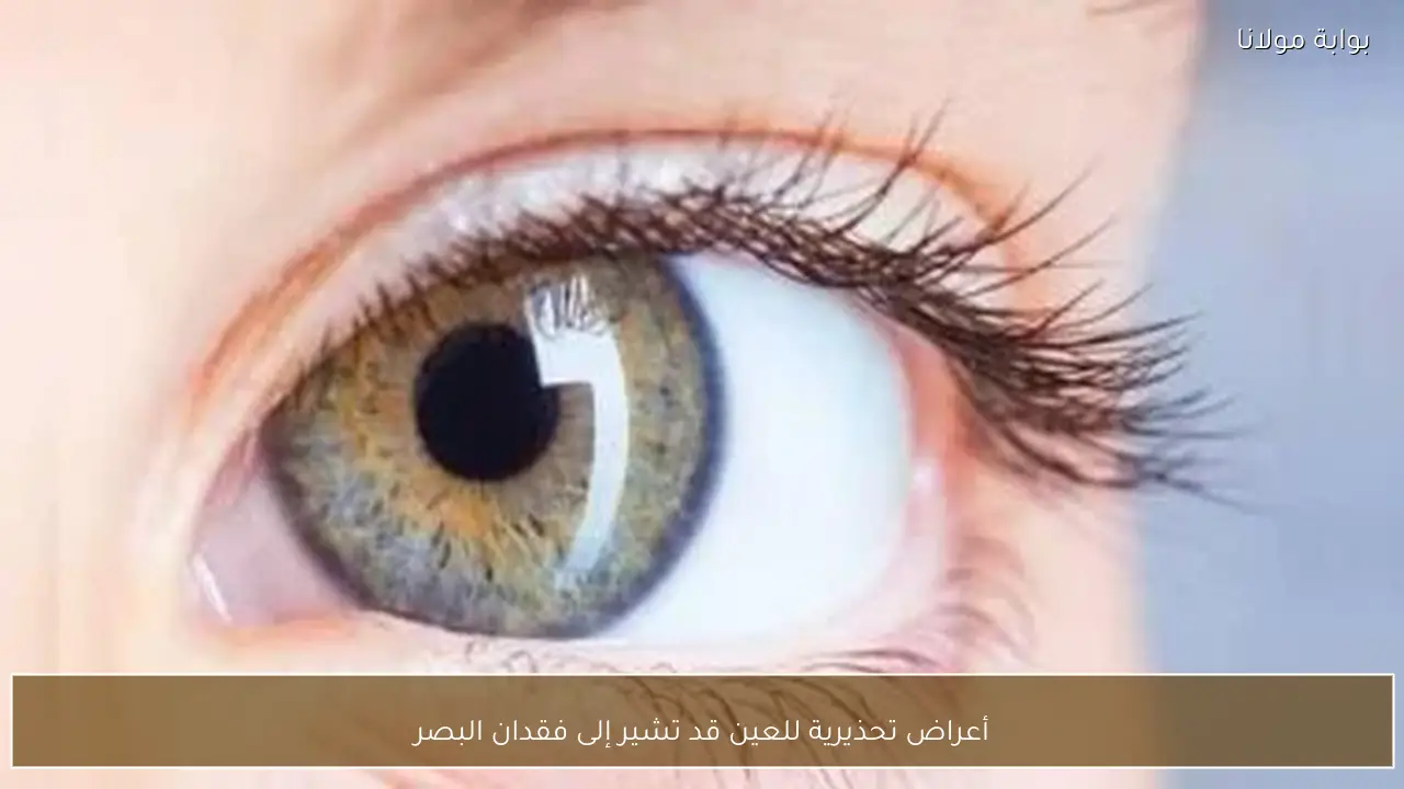 أعراض تحذيرية للعين قد تشير إلى فقدان البصر