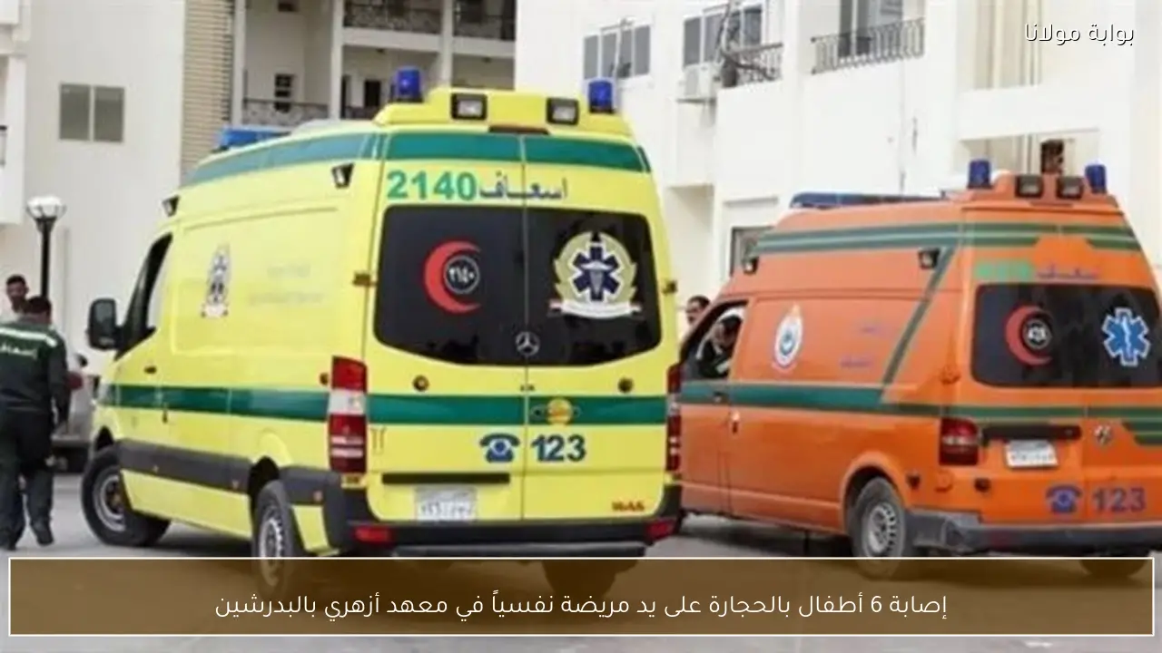 إصابة 6 أطفال بالحجارة على يد مريضة نفسياً في معهد أزهري بالبدرشين