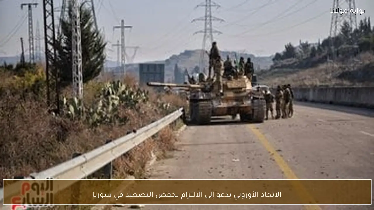 الاتحاد الأوروبي يدعو إلى الالتزام بخفض التصعيد في سوريا