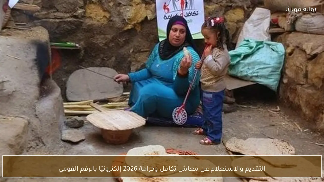 التقديم والاستعلام عن معاش تكافل وكرامة 2026 إلكترونيًا بالرقم القومي