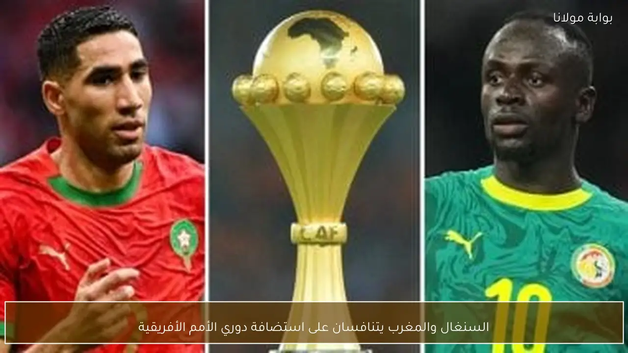 السنغال والمغرب يتنافسان على استضافة دوري الأمم الأفريقية