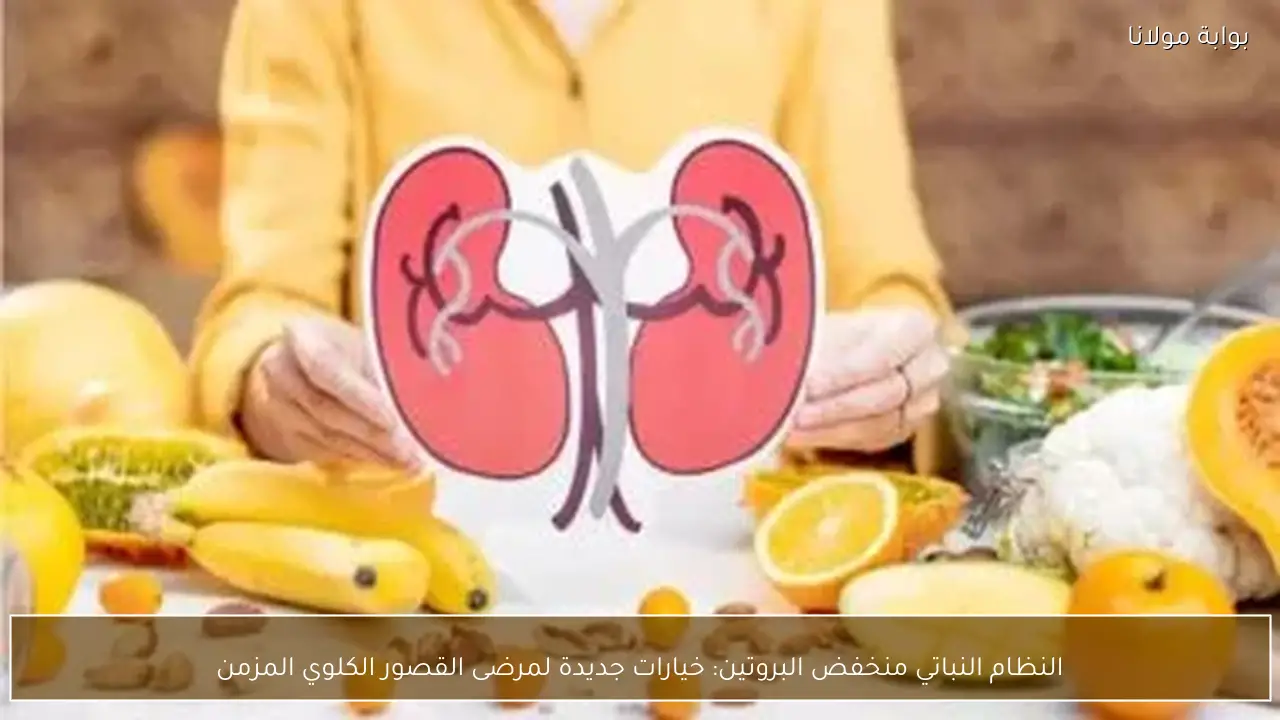 النظام النباتي منخفض البروتين: خيارات جديدة لمرضى القصور الكلوي المزمن