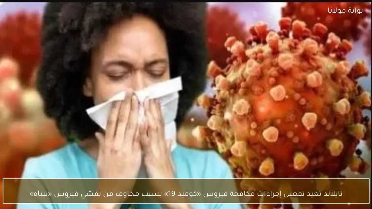 تايلاند تعيد تفعيل إجراءات مكافحة فيروس «كوفيد-19» بسبب مخاوف من تفشي فيروس «نيباه»