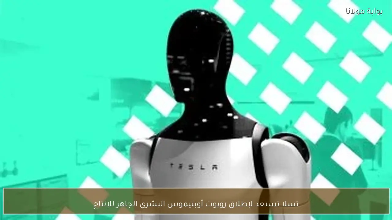تسلا تستعد لإطلاق روبوت أوبتيموس البشري الجاهز للإنتاج