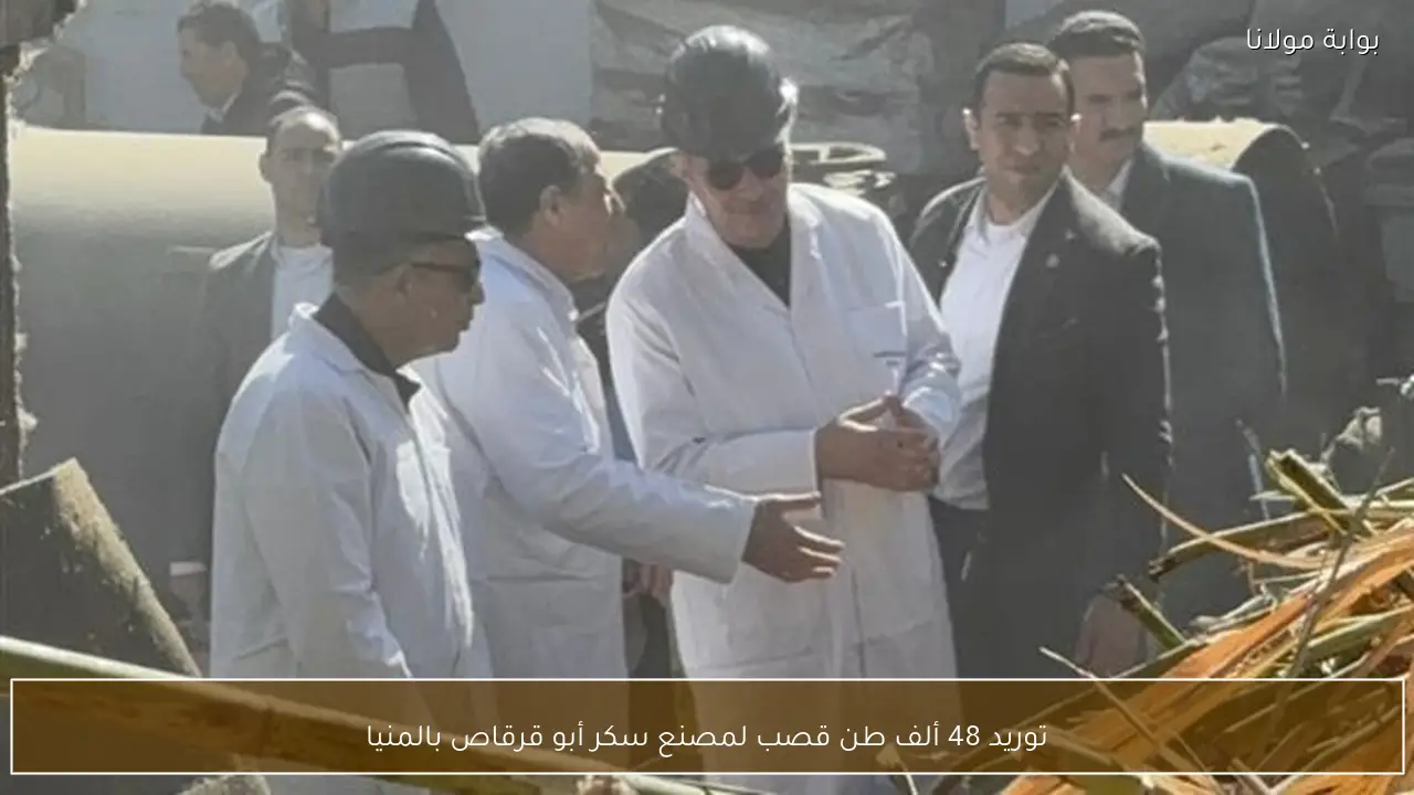 توريد 48 ألف طن قصب لمصنع سكر أبو قرقاص بالمنيا