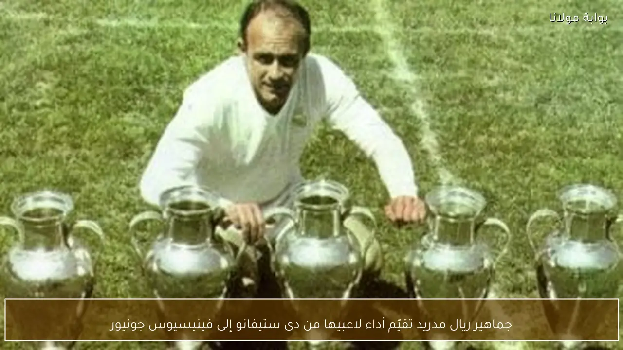 جماهير ريال مدريد تقيّم أداء لاعبيها من دى ستيفانو إلى فينيسيوس جونيور