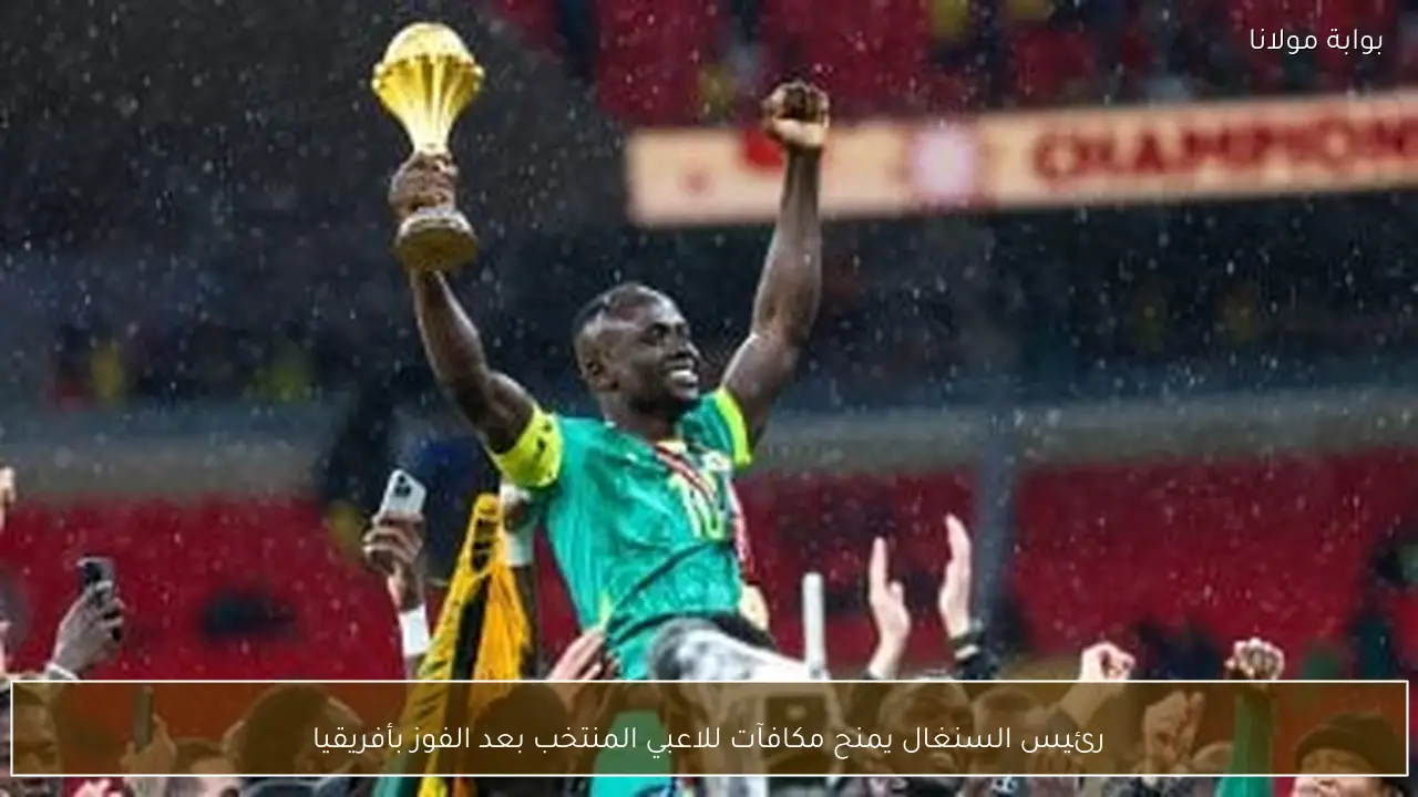 رئيس السنغال يمنح مكافآت للاعبي المنتخب بعد الفوز بأفريقيا