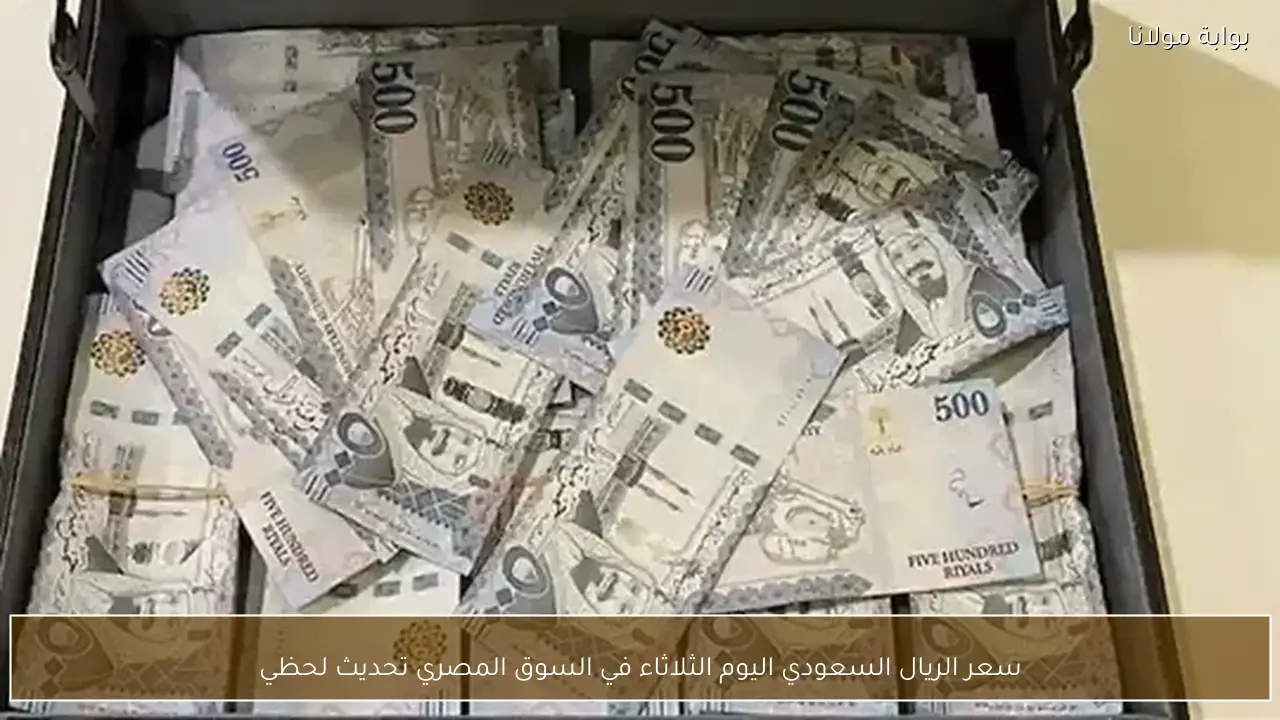 سعر الريال السعودي اليوم الثلاثاء في السوق المصري تحديث لحظي