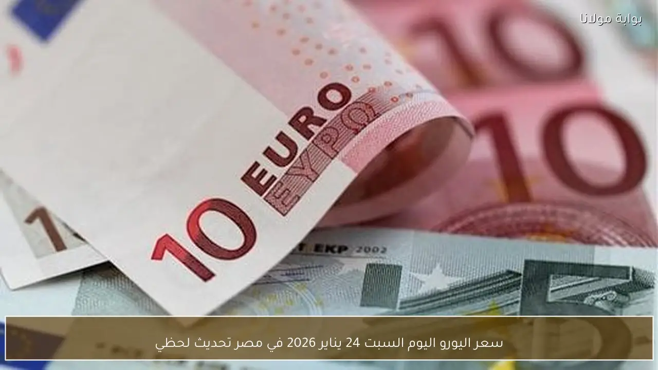 سعر اليورو اليوم السبت 24 يناير 2026 في مصر تحديث لحظي