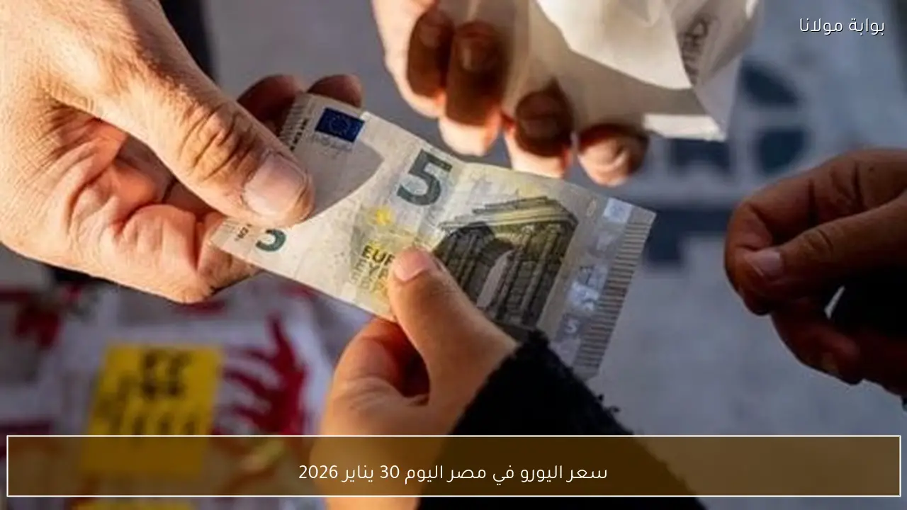 سعر اليورو في مصر اليوم 30 يناير 2026