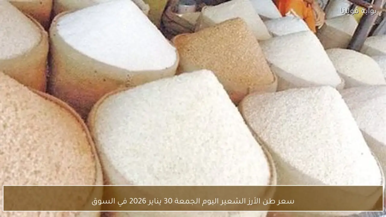 سعر طن الأرز الشعير اليوم الجمعة 30 يناير 2026 في السوق