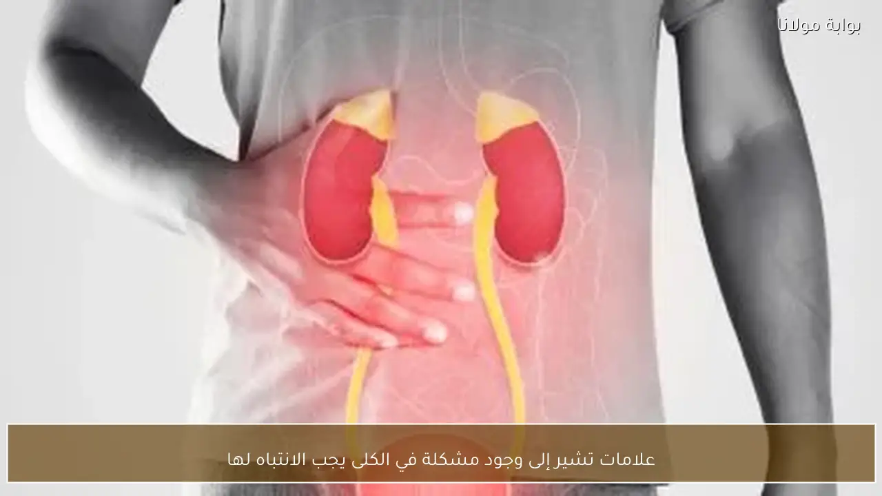 علامات تشير إلى وجود مشكلة في الكلى يجب الانتباه لها