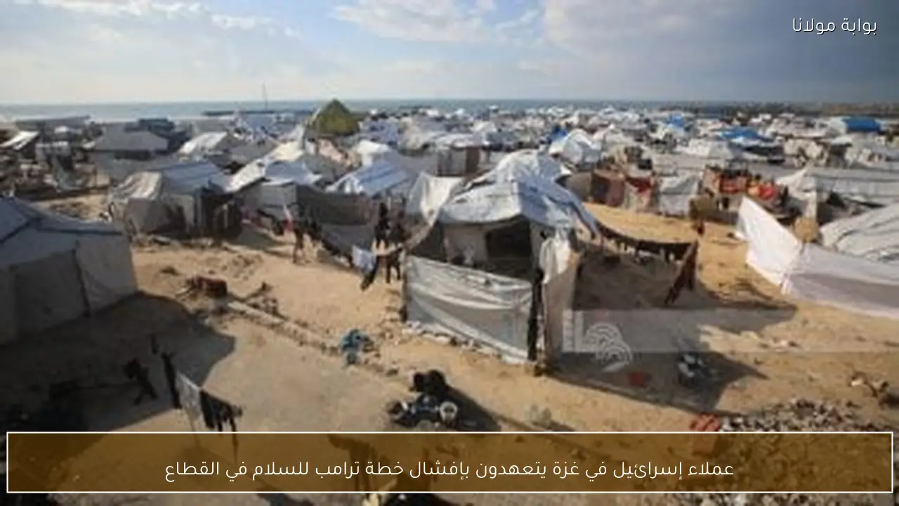 عملاء إسرائيل في غزة يتعهدون بإفشال خطة ترامب للسلام في القطاع