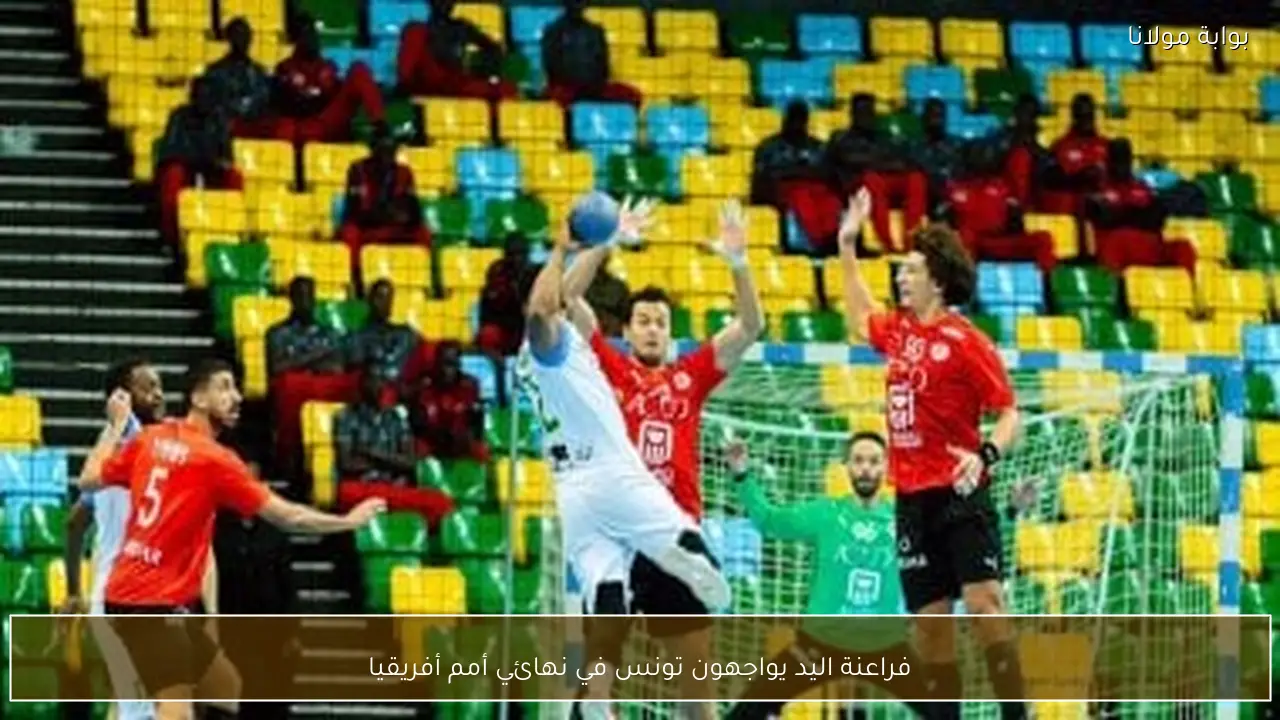 فراعنة اليد يواجهون تونس في نهائي أمم أفريقيا