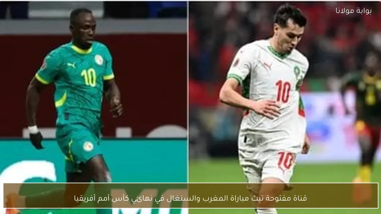 قناة مفتوحة تبث مباراة المغرب والسنغال في نهائي كأس أمم أفريقيا