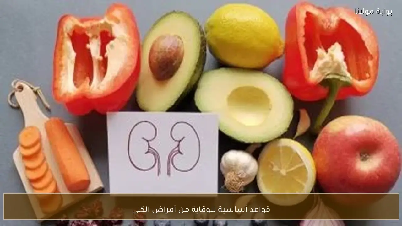 قواعد أساسية للوقاية من أمراض الكلى