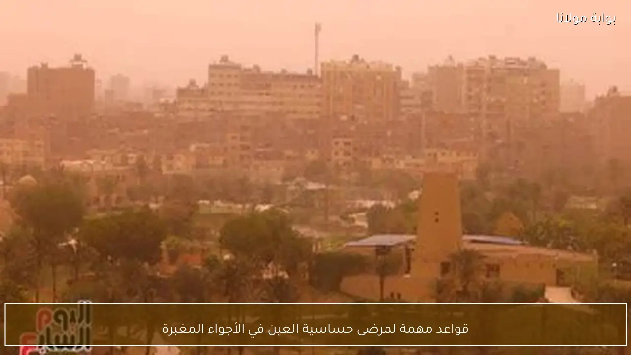 قواعد مهمة لمرضى حساسية العين في الأجواء المغبرة