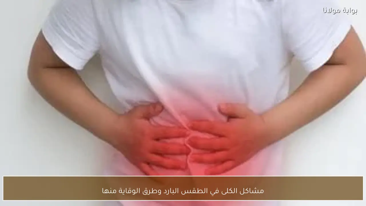 مشاكل الكلى في الطقس البارد وطرق الوقاية منها