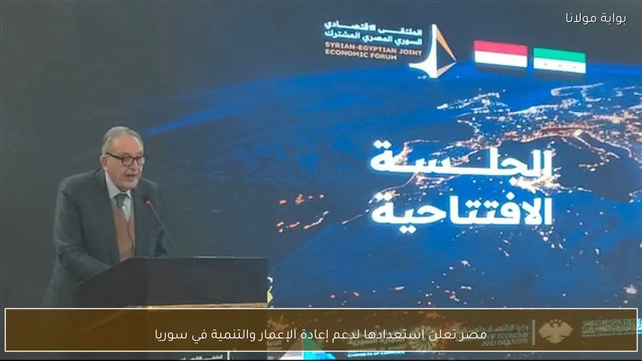 مصر تعلن استعدادها لدعم إعادة الإعمار والتنمية في سوريا
