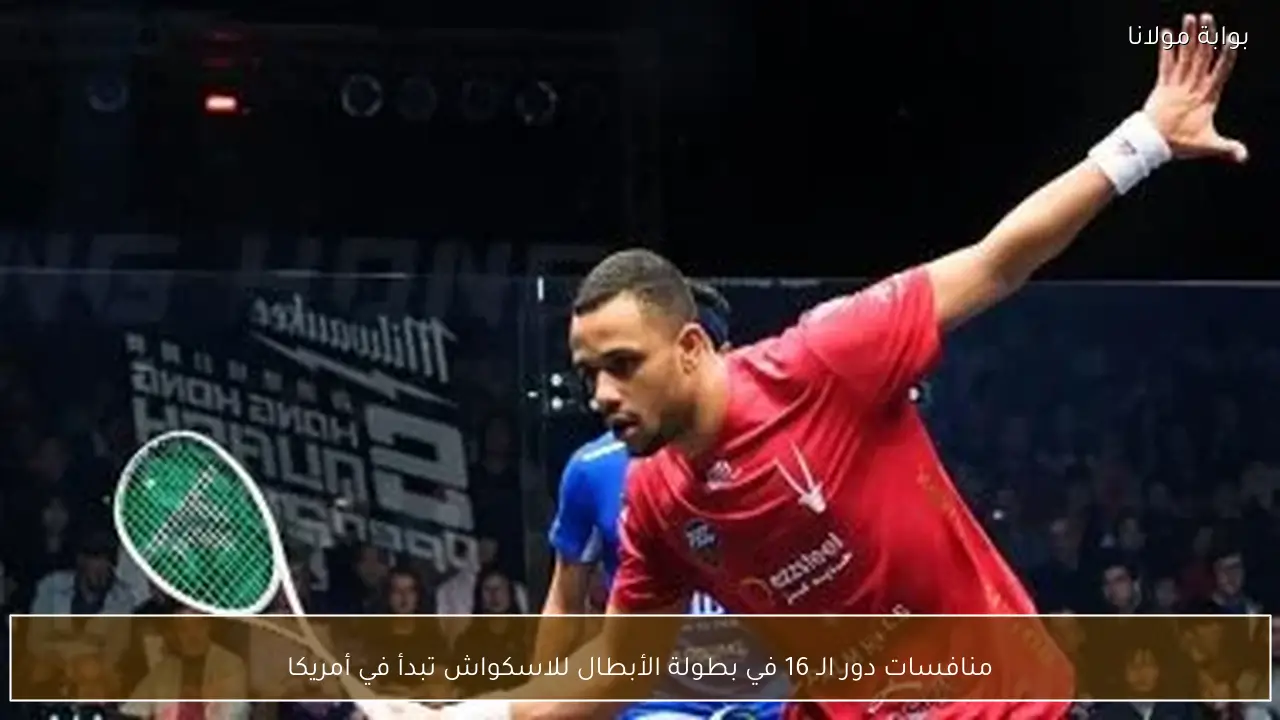 منافسات دور الـ 16 في بطولة الأبطال للاسكواش تبدأ في أمريكا