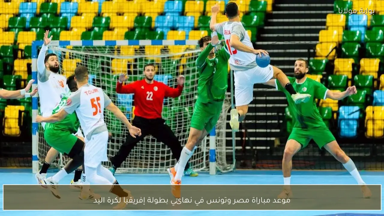 موعد مباراة مصر وتونس في نهائي بطولة إفريقيا لكرة اليد