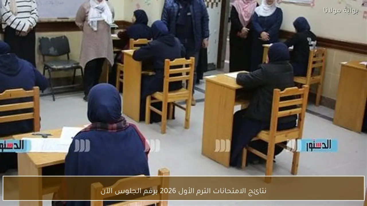 نتائج الامتحانات الترم الأول 2026 برقم الجلوس الآن