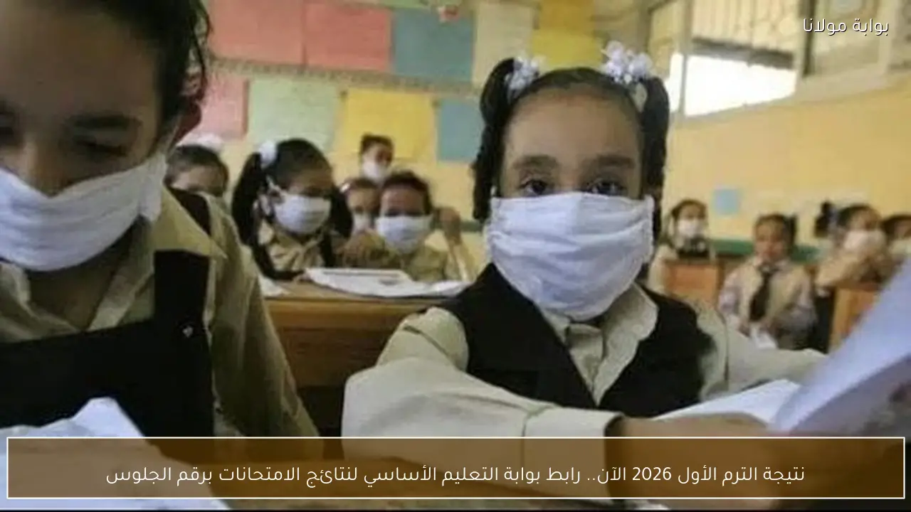 نتيجة الترم الأول 2026 الآن.. رابط بوابة التعليم الأساسي لنتائج الامتحانات برقم الجلوس