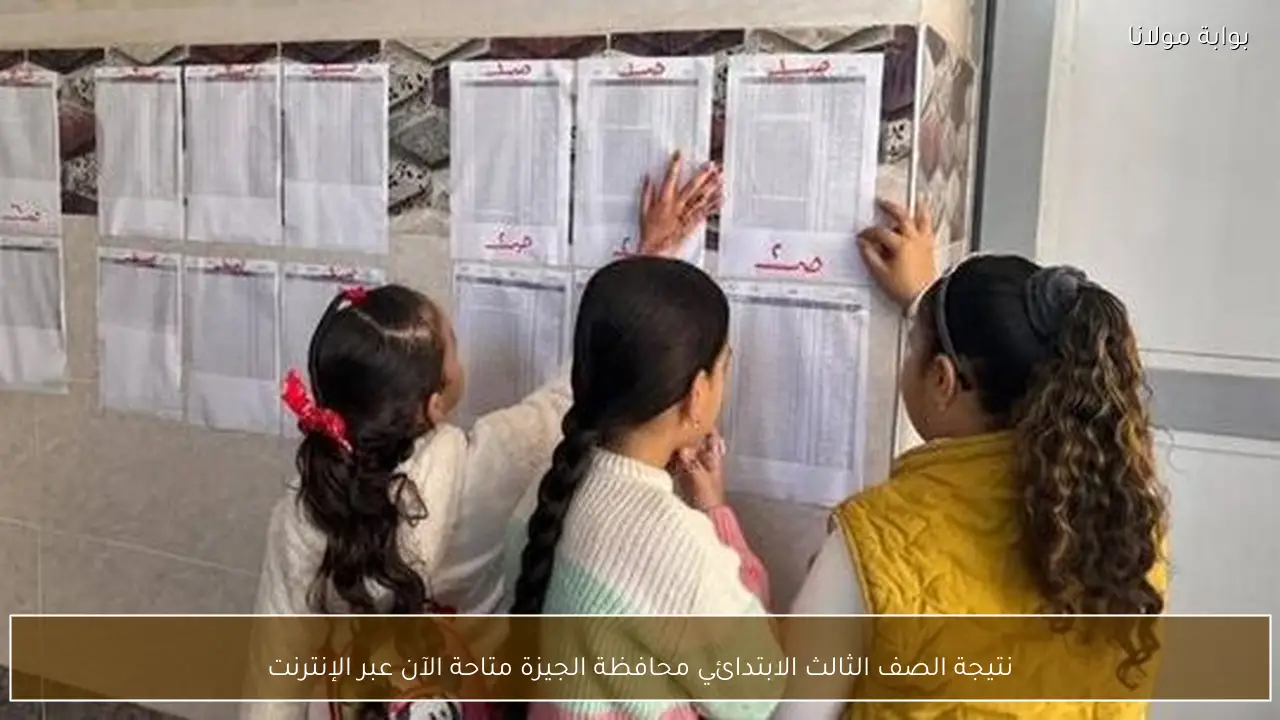 نتيجة الصف الثالث الابتدائي محافظة الجيزة متاحة الآن عبر الإنترنت