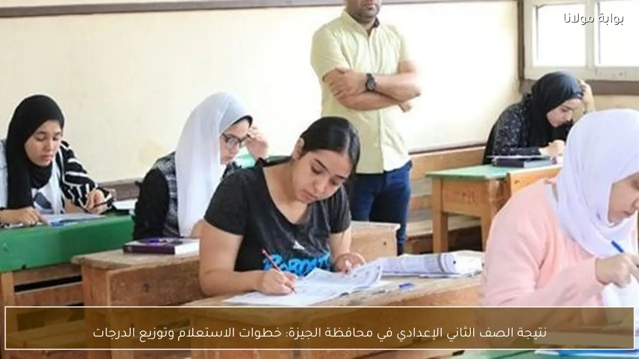 نتيجة الصف الثاني الإعدادي في محافظة الجيزة: خطوات الاستعلام وتوزيع الدرجات