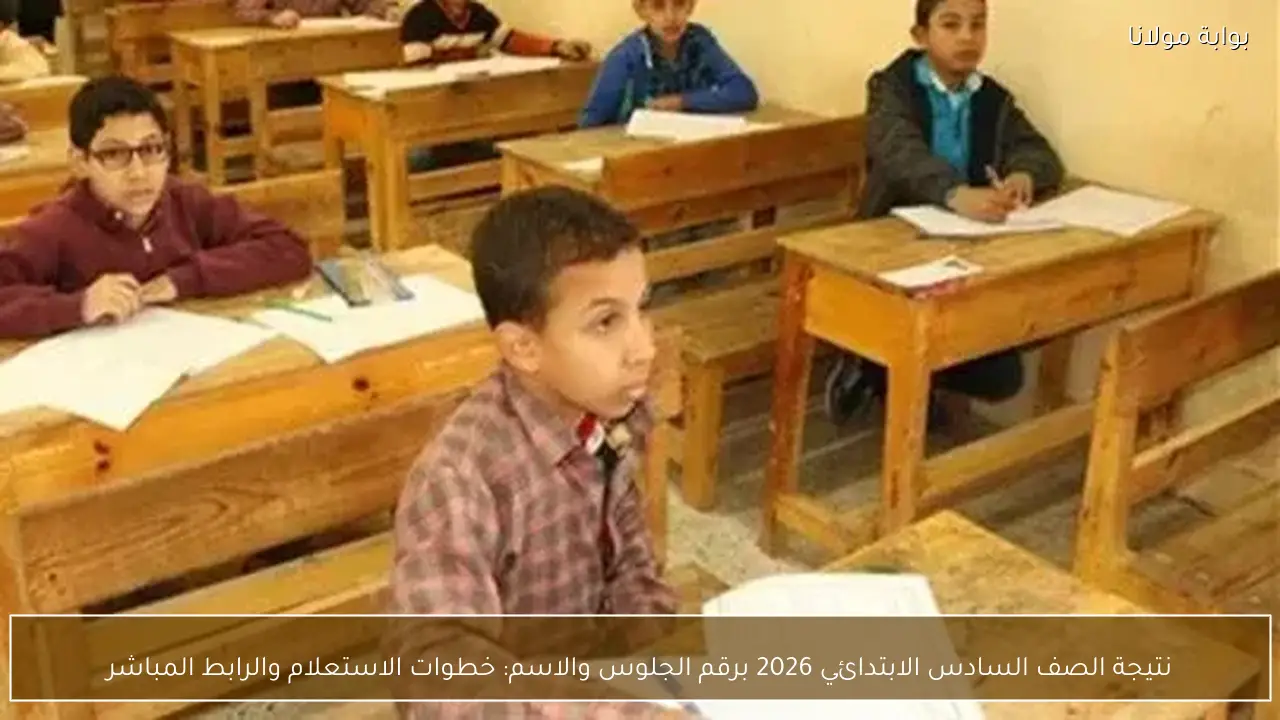 نتيجة الصف السادس الابتدائي 2026 برقم الجلوس والاسم: خطوات الاستعلام والرابط المباشر