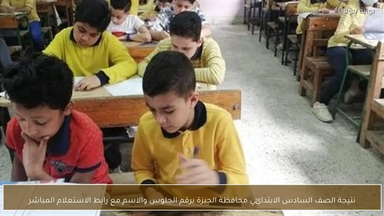 نتيجة الصف السادس الابتدائي محافظة الجيزة برقم الجلوس والاسم مع رابط الاستعلام المباشر