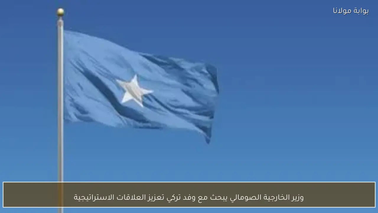 وزير الخارجية الصومالي يبحث مع وفد تركي تعزيز العلاقات الاستراتيجية