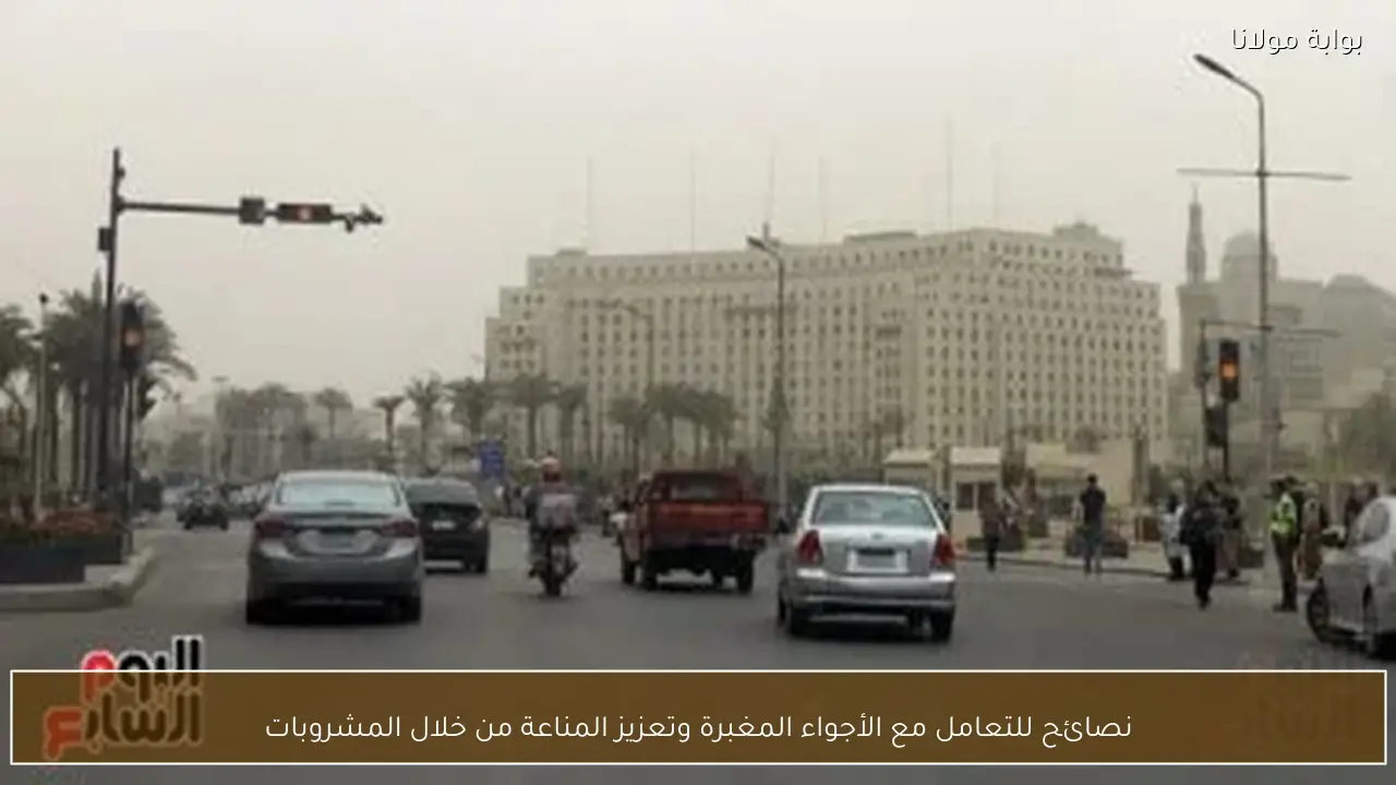 نصائح للتعامل مع الأجواء المغبرة وتعزيز المناعة من خلال المشروبات