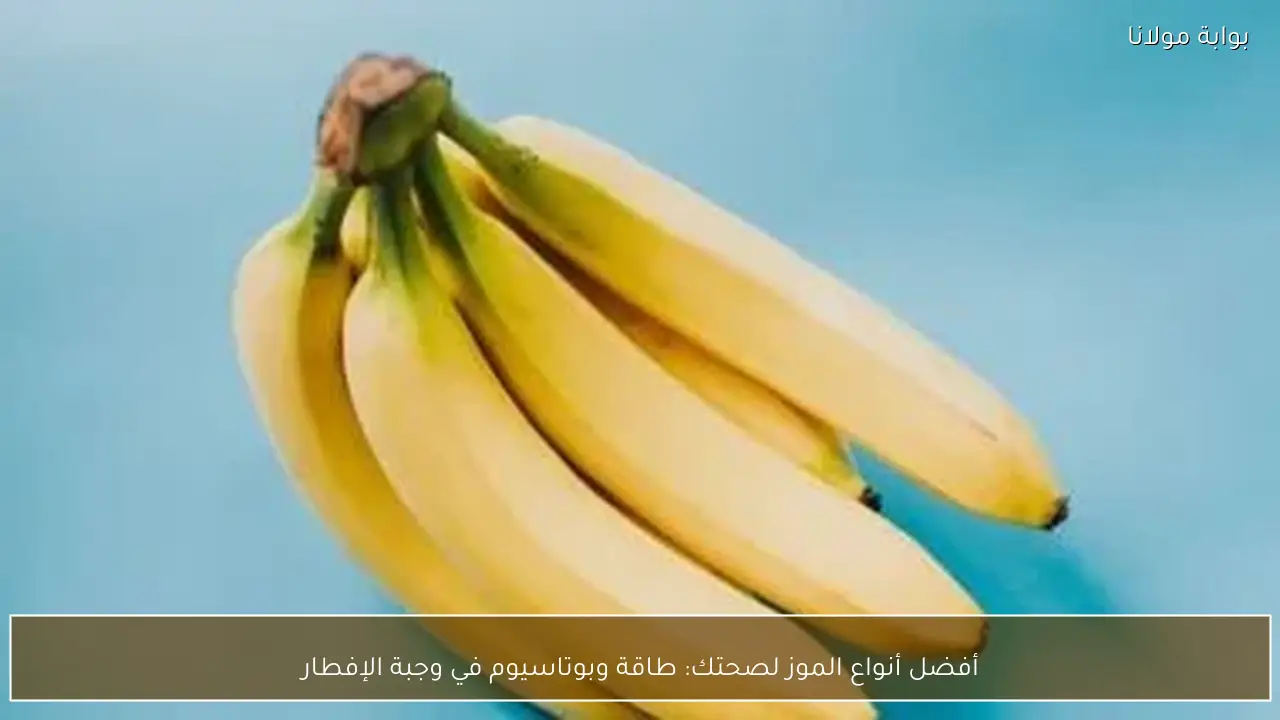 أفضل أنواع الموز لصحتك: طاقة وبوتاسيوم في وجبة الإفطار