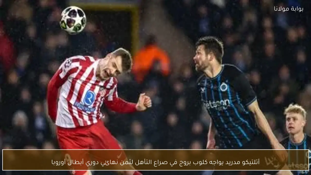 أتلتيكو مدريد يواجه كلوب بروج في صراع التأهل لثمن نهائي دوري أبطال أوروبا
