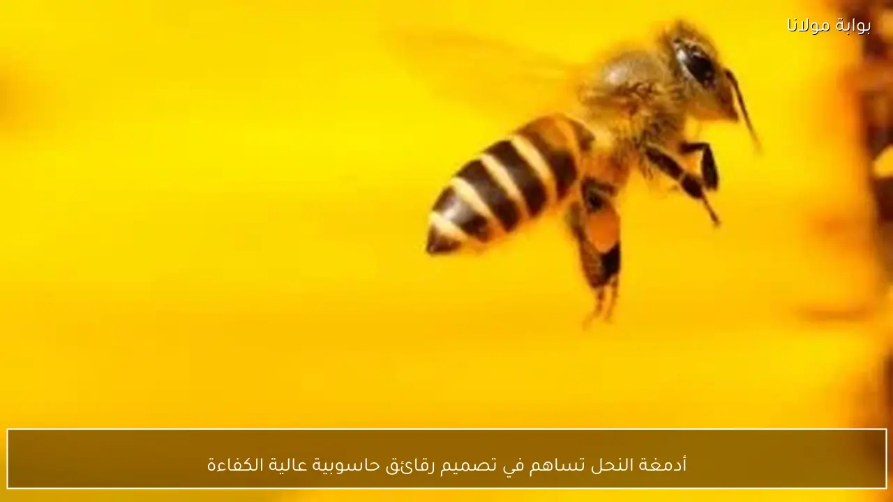 أدمغة النحل تساهم في تصميم رقائق حاسوبية عالية الكفاءة