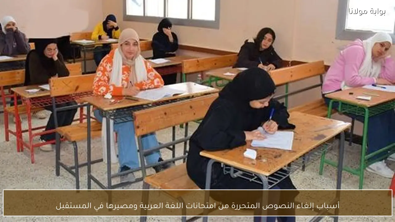 أسباب إلغاء النصوص المتحررة من امتحانات اللغة العربية ومصيرها في المستقبل