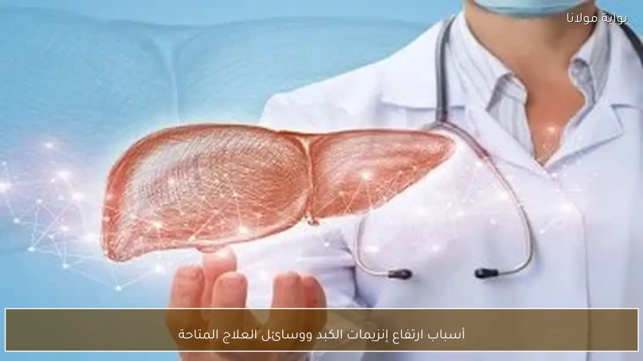 أسباب ارتفاع إنزيمات الكبد ووسائل العلاج المتاحة
