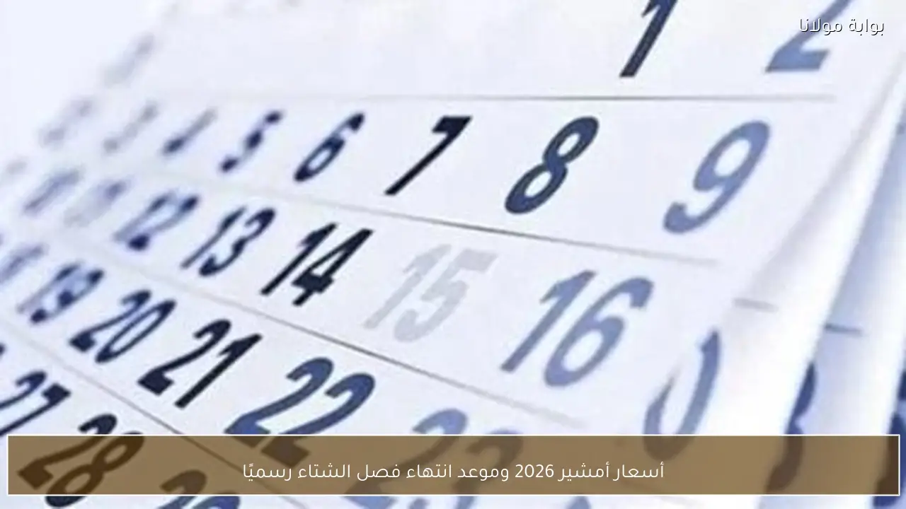 أسعار أمشير 2026 وموعد انتهاء فصل الشتاء رسميًا