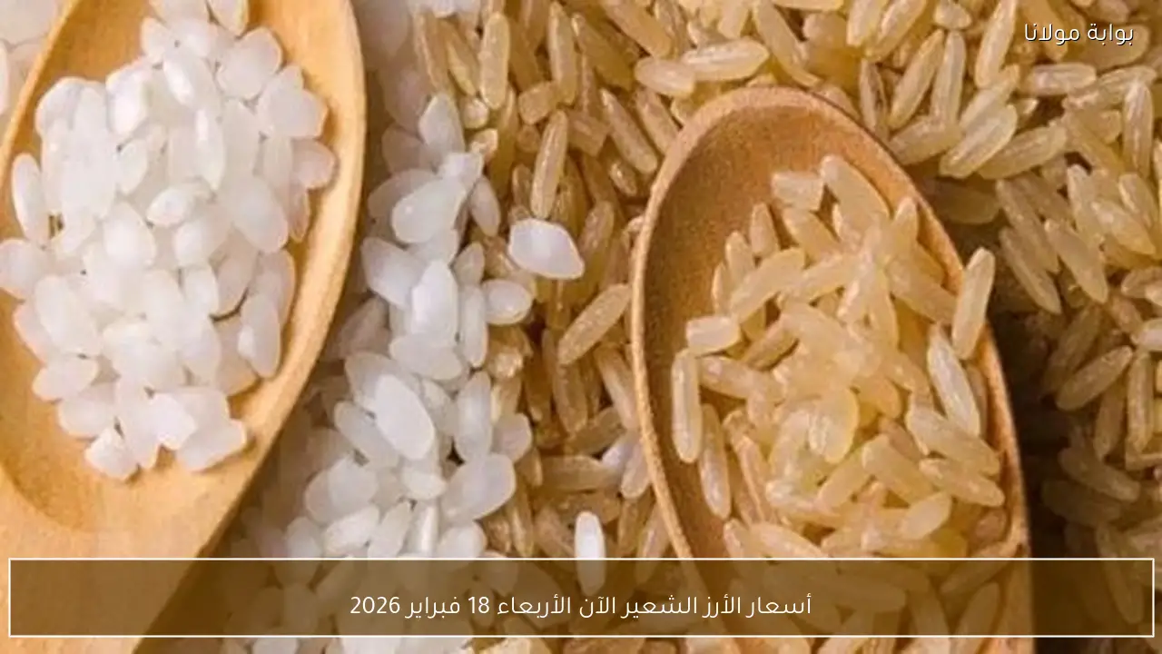 أسعار الأرز الشعير الآن الأربعاء 18 فبراير 2026